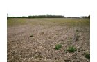 Property photo 6 - 160 Acres in 4 Tracts - Building Potential and Cropland